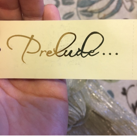 NWT Prelude Silver Bell Sleeve Flowy Sparkle Dress - Picture 4 of 8